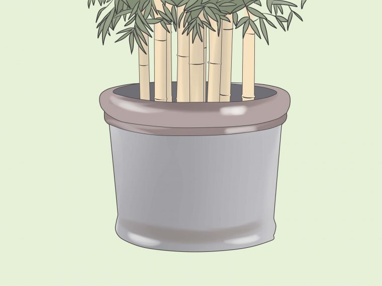 Comment Se Débarrasser Des Bambous: 8 Étapes serapportantà Comment Eliminer Les Bambous Dans Un Jardin