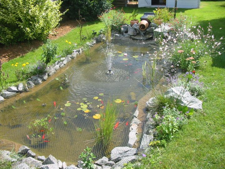 Construire Un Bassin Poisson Au Jardin, Photo Bassin De Jardin avec Construire Un Bassin De Jardin