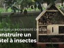 Construire Un Hôtel À Insectes | Fabriquer Des Abris Pour Animaux concernant Abris Pour Insectes Du Jardin