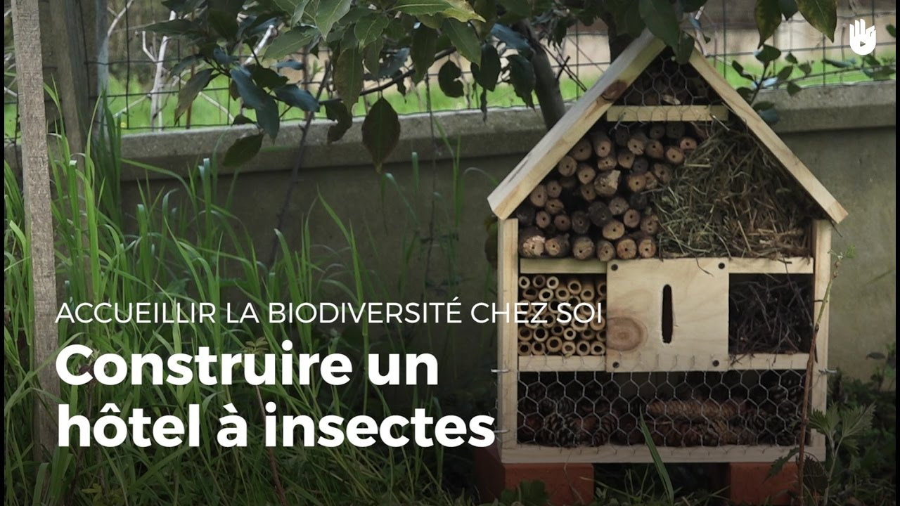 Construire Un Hôtel À Insectes | Fabriquer Des Abris Pour Animaux concernant Abris Pour Insectes Du Jardin