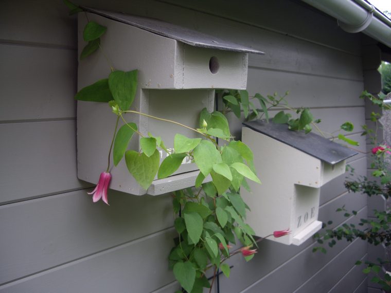 Construire Un Nichoir À Balcon Pour Mésanges – Les Jardins … à Nichoir Mésange Jardin