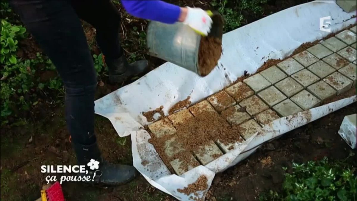 Construire Une Allée Au Sec Dans Son Jardin - Silence, Ça Pousse ! concernant Faire Des Allées De Jardin