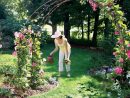 Construire Une Arche De Jardin | Arche Jardin, Jardins Et ... à Arche Pour Jardin