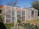 Construire Une Serre En Bois De 24M² dedans Fabriquer Serre De Jardin Polycarbonate