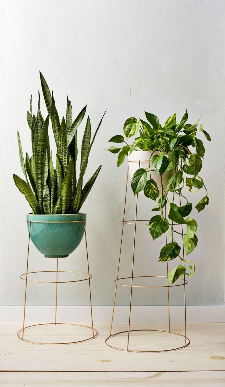 Cool Plant Stand Design Ideas For Indoor Houseplant | Deco … intérieur Support Abri De Jardin