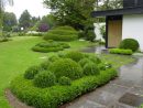 Côté Taille : Spécialistes De La Taille De Haies, Arbustes ... destiné Aménagement Jardin Hainaut