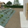 Création Du Jardin D'une Villa Neuve | Jardins Et Bassins encequiconcerne Plante Bassin De Jardin