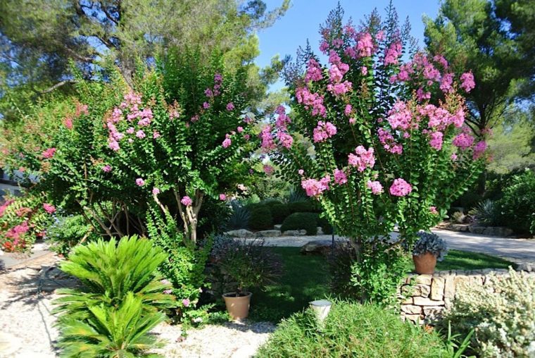 Création Jardins Bandol : Paysagiste Terrasse Bois – Nature … intérieur Jardins Fleuris Paysagiste