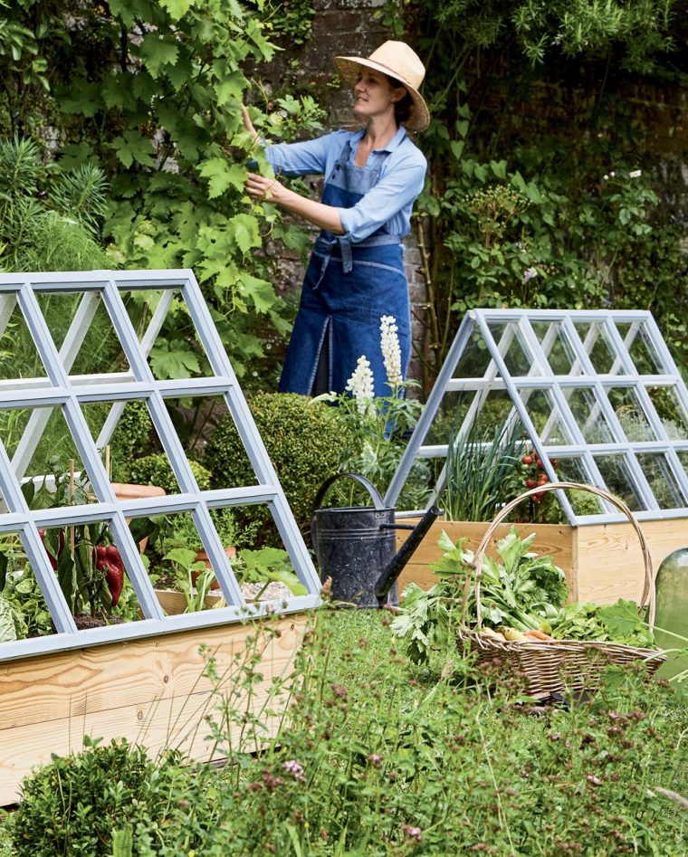 Créer Des Serres Pour Faire Pousser Les Tomates Dans Son … intérieur Faire Sa Serre De Jardin Soi Meme