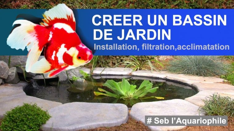 Créer Un Bassin , Construire Un Bassin De Jardin ✔ intérieur Bac A Poisson Jardin
