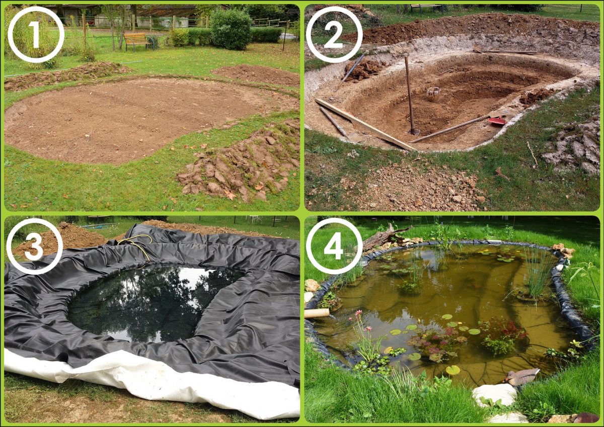 Créer Un Bassin De Jardin destiné Amenagement De Bassins De Jardin