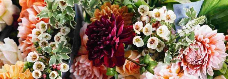 Créer Un Jardin De Fleurs À Couper Pour Faire Ses Bouquets … destiné Fleurs À Couper Au Jardin