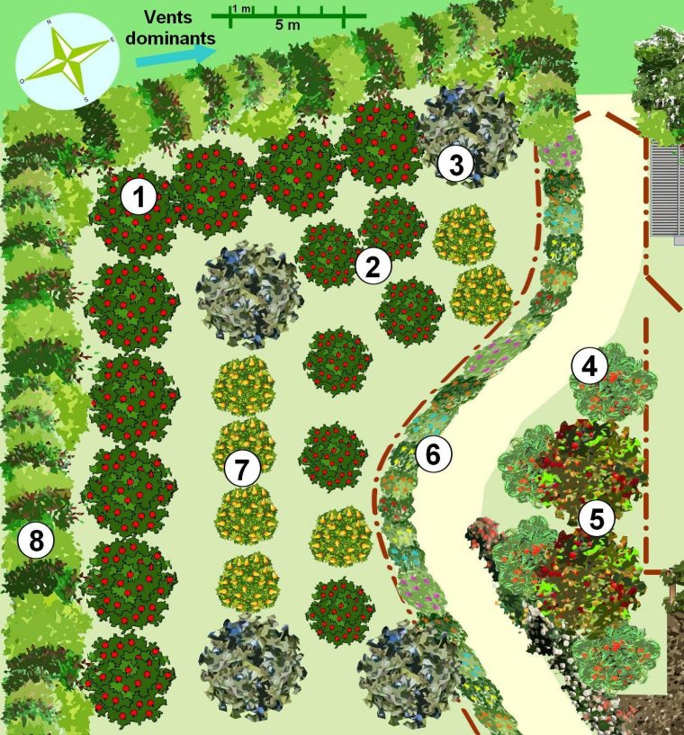 Créer Un Jardin En Permaculture – Plan … à Plan Jardin Potager Bio