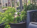 Créer Un Jardin Urbain… Sur Son Balcon! | Béatrice tout Faire Un Jardin Sur Son Balcon