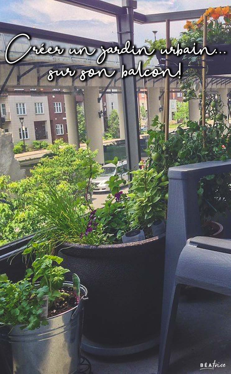 Créer Un Jardin Urbain… Sur Son Balcon! | Béatrice tout Jardin Urbain Balcon
