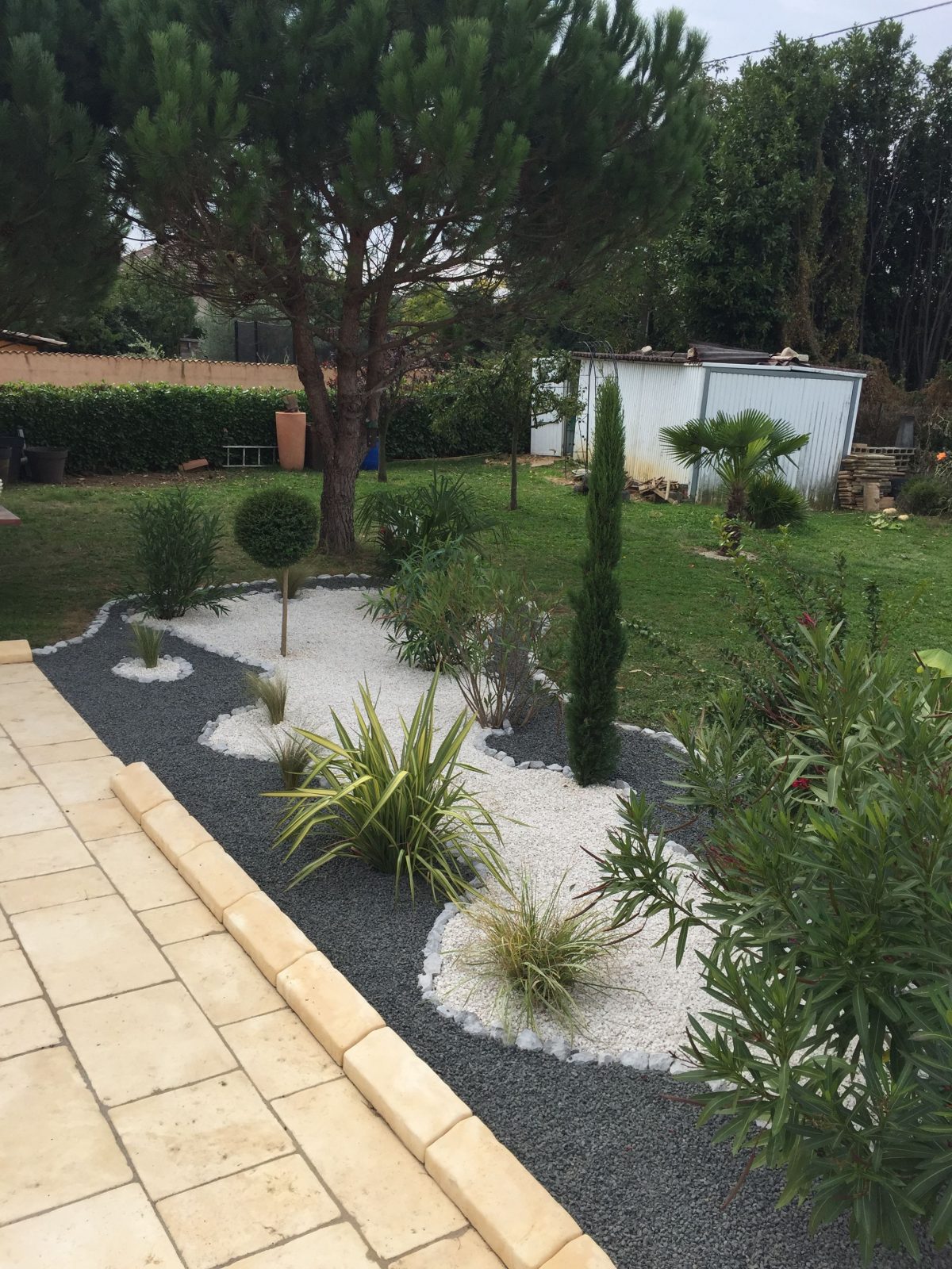 Creer Un Joli Massif Mineral Avec Cordyline Agapanthe Et ... concernant Comment Creer Un Jardin Paysager