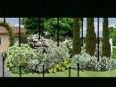 Créer Un Massif D'arbustes Vert Et Blanc : | Jardin Massif ... à Comment Creer Un Jardin Paysager