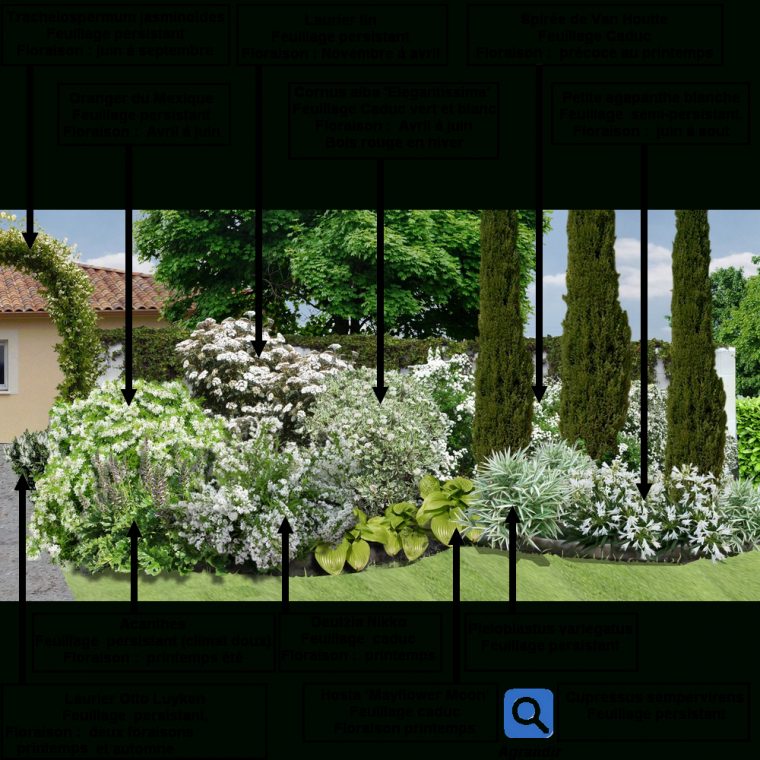 Créer Un Massif D'arbustes Vert Et Blanc : | Jardin Massif … à Comment Creer Un Jardin Paysager