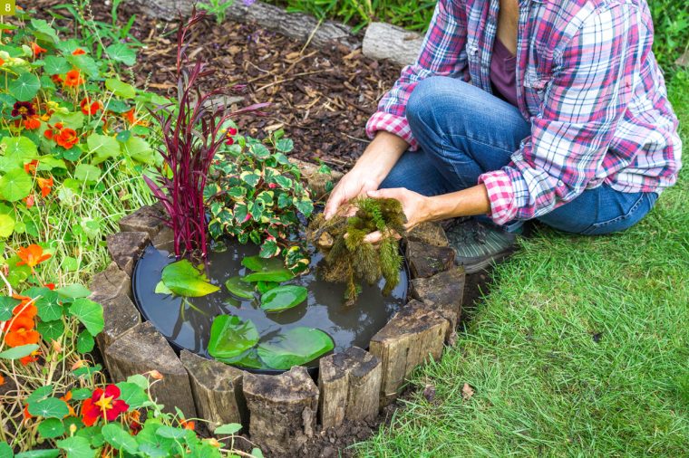 Créer Un Mini-Bassin En 2 Heures Chrono Dans Votre Jardin … intérieur Petit Bassin Pour Jardin