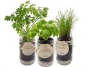 Cultiveo Kit Prêt À Pousser Herbes Aromatiques : Test Et ... serapportantà Jardin En Kit Pret A Planter
