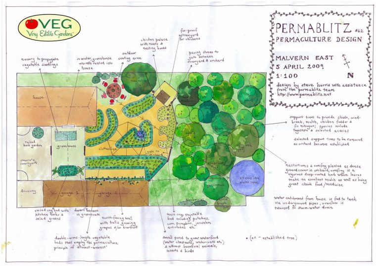 Débuter Un Jardin Potager En Permaculture à Organisation D Un Jardin Potager