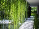 Déco Jardin Zen Extérieur Elegant | Idée Aménagement Jardin ... destiné Déco Jardin Zen Exterieur
