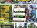 Décoration De Jardin En Objets De Récup' : Des Idées ... tout Recup Pour Le Jardin