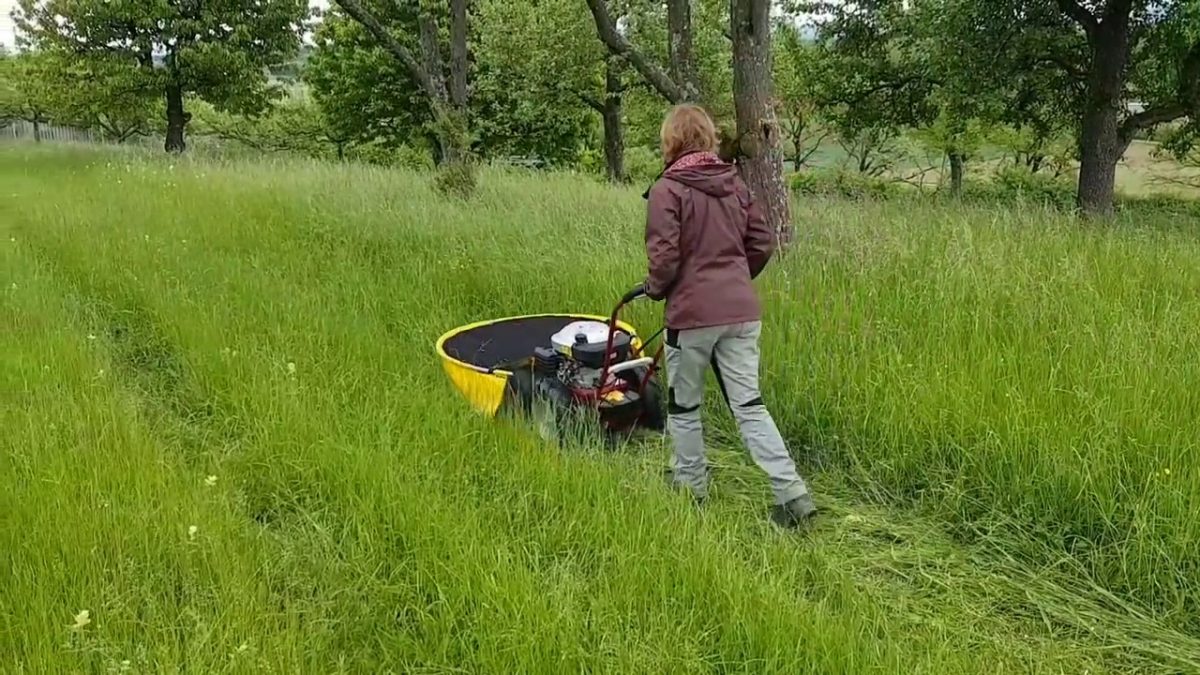 Démonstration Tondeuse Faucheuse Rotative À Disque 173 Cm3 Ohv pour Faucheuse Jardin