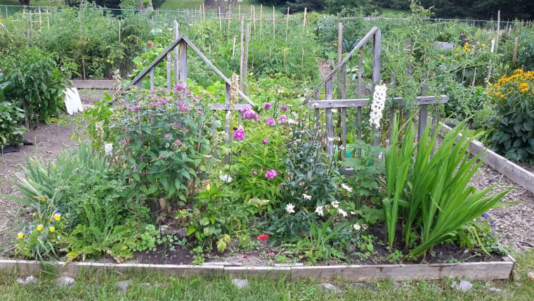 Démystifions Les Pratiques Du Jardinage Écologique ! – Ville … pour Jardins Écologiques