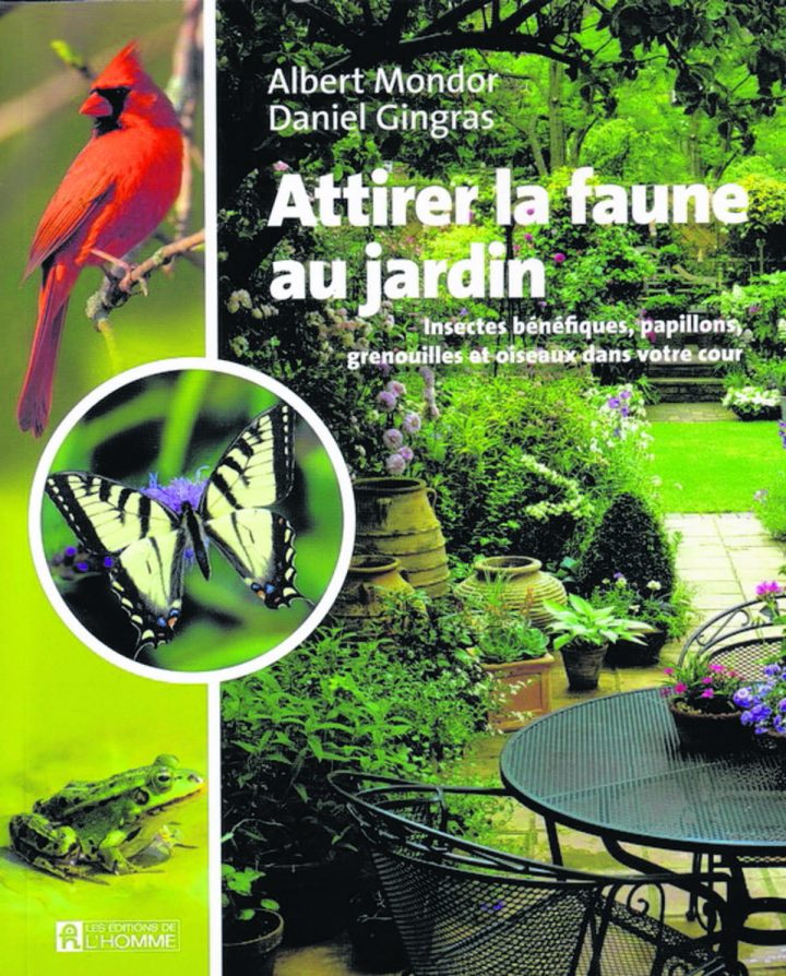 Des Papillons Et Des Colibris Au Jardin – Le Canada Français tout Au Jardin Des Colibris