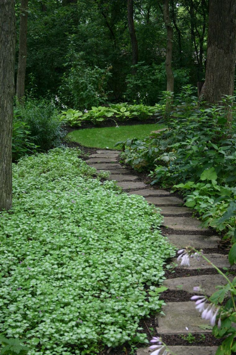 Dessin De L'allée | Beaux Jardins, Aménagement Paysager Et … destiné Allée De Jardin En Pente