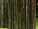 Détails Sur Brise-Vue Black Bambou Palissade Coupe-Vent Clôture De En 8  Tailles avec Coupe Vent Jardin