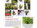 Détente Jardin Magazine-Janv-Fev-2019 - Les Jardins De La ... avec Détente Jardin Magazine