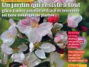 Direct-Éditeurs - * Le Service-Client Des Diffuseurs De Presse * serapportantà Détente Jardin Magazine