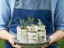 Diy Jardin : On Rempote Les Petites Plantes ! - Marie Claire dedans Marie Claire Idées Jardin