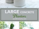 Diy Large Concrete Planters | Pots En Béton Diy, Decoration ... serapportantà Jardinieres Beton Pour Jardin