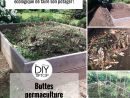 Diy – Un Potager Bio Sur Ma Terrasse Et Dans Le Jardin ... dedans Faire Un Jardin Pour Les Nuls