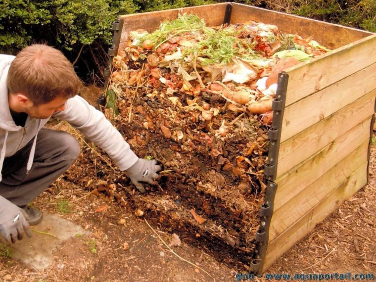Dossier] Le Compost Pour Les Nuls – Trucs Et Astuces à Le Jardin Pour Les Nuls