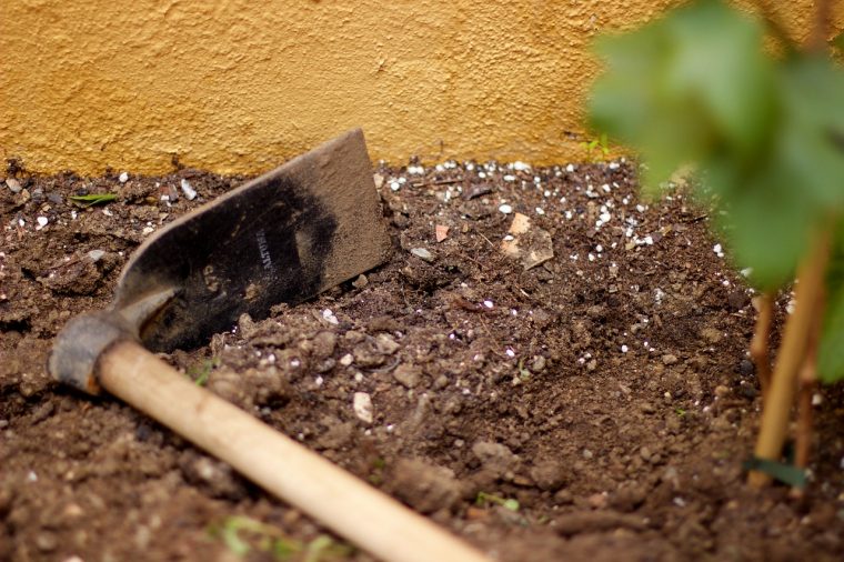 Du Carbonate De Chaux Pour Votre Jardin – Blog-Maison concernant Chaux Pour Jardin