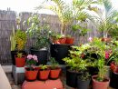 ⚛ Comment Créer Un Jardinet Sur Son Balcon D'appartement concernant Faire Un Jardin Sur Son Balcon