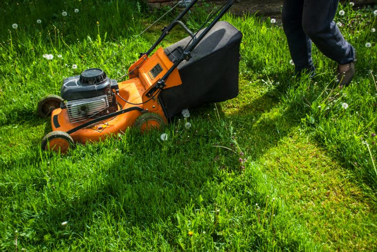 Eliminer Les Tiques Du Jardin Sans Pesticides | Santé Magazine tout Produit Anti Tique Pour Jardin