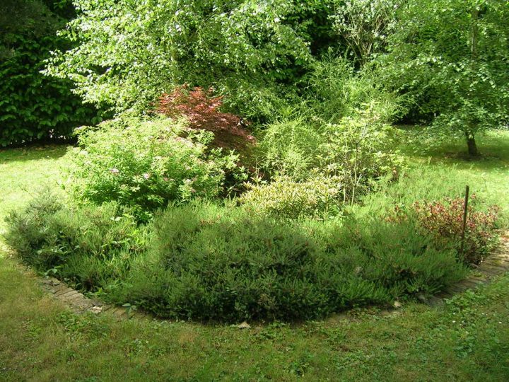 Entretien De Jardin Taille De Haies À Lyon – Nature Et Sens serapportantà Cailloux Pour Jardin