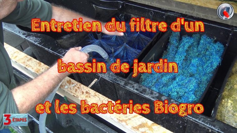 Entretien Du Filtre D'un Bassin De Jardin Et Les Bactéries Biogro dedans Entretien D Un Bassin De Jardin