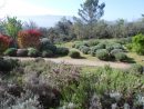 Entretien D'un Jardin Méditerranéen Pour Un Mas À Nans Les ... avec Exemple De Jardin Méditerranéen