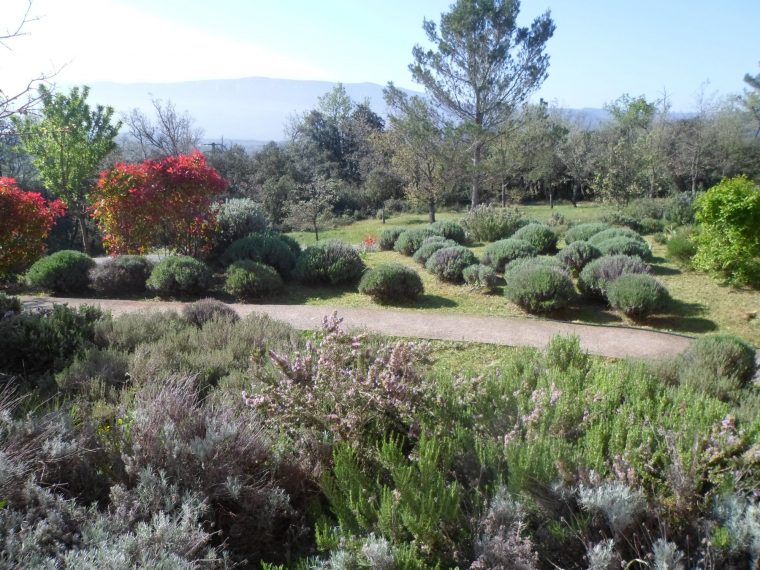 Entretien D'un Jardin Méditerranéen Pour Un Mas À Nans Les … avec Exemple De Jardin Méditerranéen