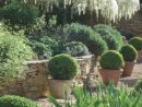 Épinglé Par Jeannette Schweizer Sur Garten | Jardin ... dedans Amenagement Petit Jardin Mediterraneen
