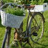 Épinglé Par Joly Sur Déco Jardin | Bicyclettes, Vieux Vélo ... intérieur Velo Deco Jardin