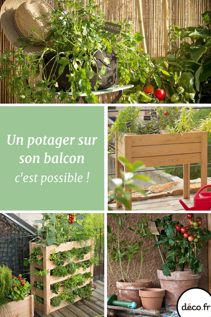 Épinglé Par Louise Harper Sur Jardinage Balcon | Potager ... tout Mini Jardin Balcon