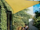 Épinglé Sur Terrasse - Toile D'ombrage destiné Toile Jardin Triangle