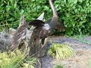 Esculturas Y Estatuas De Jardín Animales Wild Bird ... dedans Animaux Deco Jardin